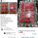 진셰프 이미지