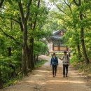 청계산의 속살을 걷는 코스 (청계사 방향) 등산코스 이미지