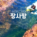 장사항 | 강원도 속초 여행, 장사항 스노쿨링 스팟 후기🤿
