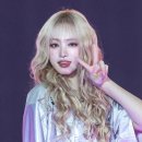 리즈헤어 이미지