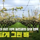 아름답게 그린배 영농조합 법인 이미지