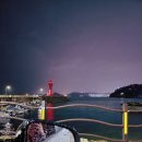 (주)아성다이소 부산영도동삼점 | 부산영도 2박3일 차박 데이트 - 영도 동삼해수천 벚꽃구경(23년 3월 26일 실시간), 중리항 미창석유...