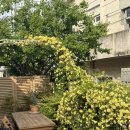 1287 | 양산 유럽 소도시 감성 카페ㅣ썸머썸머