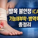 발목 불안정(외측 발목 불안정) 기능해부학·병역학·병리생리 총정리 “단순 염좌가 아니라, 재발을 만드는 구조가 있다” 이미지