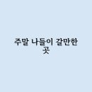 주말 나들이 갈만한 곳은 어떻게 되는걸까요 ?