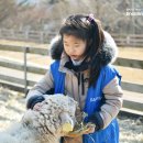 진산목장 이미지