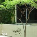 부산 연지동 시민공원 카페 :: 잎테 | 브런치 맛집