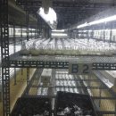 난 원예사 이미지