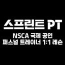 스프린트 PT 이미지
