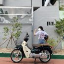 새한세차장 이미지