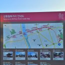 강릉(월화거리) 이미지