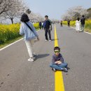 꽃길만 걷장 이미지