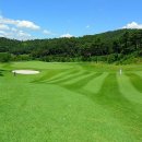 드라곤레이크CC 이미지