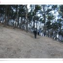 삼환2차아파트 Daum카페