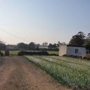 마농 민박 이미지