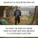 배추 서리로 인해 인생이 망가진 사람들. 이미지