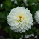 택수목장 이미지