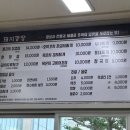 돼지깡장 이미지