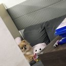 리가플스방 네이버블로그