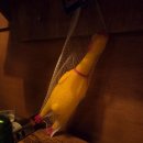 발집 | 대구 교동 술집 | 중구 닭발맛집 추천 매콤한 국물닭발에 반해버린 곳 '닦발집' 솔직후기