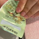 강원특별자치도 홍천소방서 서석119안전센터 | [홍천] 얼음낚시 축제인 송어 낚시 체험기 [홍천강 꽁꽁 축제]
