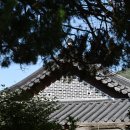 진주 청원리 이씨고가 | 진주 부자마을 지수 승산마을 지수초등학교 부자소나무