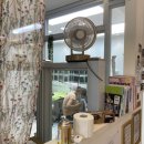 스프링그루밍 이미지