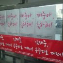 진고래 이미지