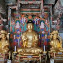 남원 선국사 건칠아미타여래좌상 및 복장유물 이미지