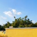 서운동산 이미지