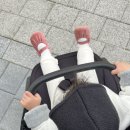 플러스세탁 | 수원 유모차세탁 내돈내산 후기 줄즈에어플러스2 방풍커버 포함 냄새제거