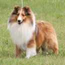 리버티벨 이미지