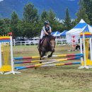 호포승마스쿨 | 제1회 양산시장배 전국승마대회 관람 후기: 흙탕물 속 작은 기수들의 열정!