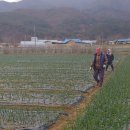 김현숙농장 이미지