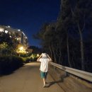 아이와 부모님 모시고 변산여행) 소노벨 변산 리조트 스위트 오션뷰, 오션플레이