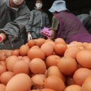 서영2농장 이미지