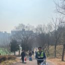 도선체육관 이미지