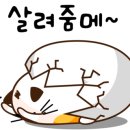 연곡낚시터 이미지