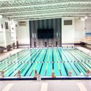 배미수영장 이미지