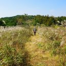 팔조령목장 이미지