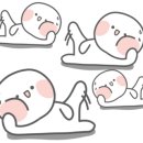 뉴캡틴짐 이미지