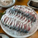 금갈치은고등어 | 한라산 등산 후 들른 성산 해산물 맛집 ‘해왓’ | 고등어회·갈치조림 메뉴 후기 &amp; 위치·예약 정보