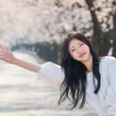 청도농기계임대사업소(산서분소) | 청도"벚꽃에 로그인, 설렘에 올인” 각북 벚꽃축제 4일 개최