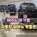 세계자동차&피아노박물관 | 제주도 아기랑 세계 자동차 박물관! 피아노 박물관 방문 후기 (탈것, 동물먹이주기도 있어요)