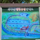 좌구산캠핑장 이미지