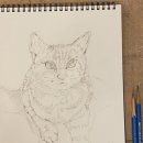 유화(아크릴화) 이미지