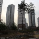 한솔다니엘학원 이미지