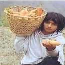 원빈농장 이미지