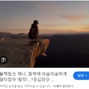 (주)블루관광여행사 | [호주 시드니] 시드니 대한관광여행사 블루마운틴 예약해서 오전&amp;선셋시티 워킹투어 다녀온 내돈내산...