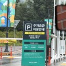 썬크리닝 | 증평 벨포레 썸머랜드 물놀이후기 요금,준비물 등 꿀팁
